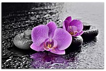 Krásny obraz Orchidea zs29331